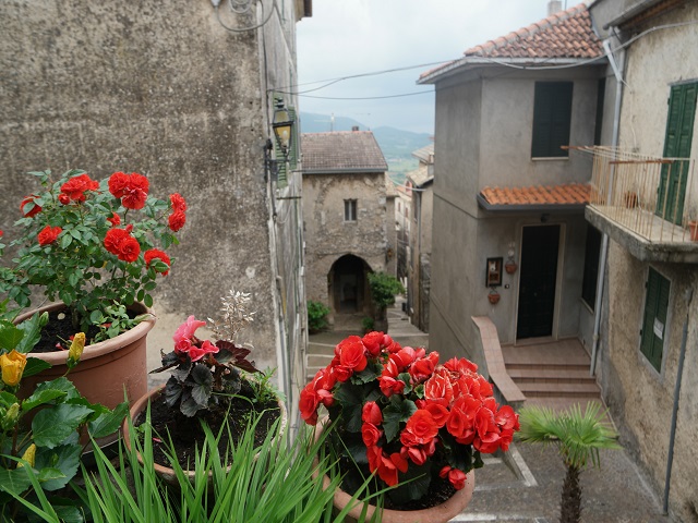 Town of originTrivigliano